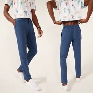 Chubbies Everywear Performance Pant The New Avenues 30" Inseam Large